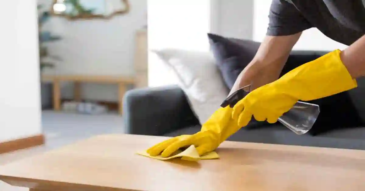 HOUSE CLEANING BUSINESS